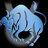 Tauros Pro