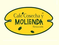 Café Cosecha y Molienda